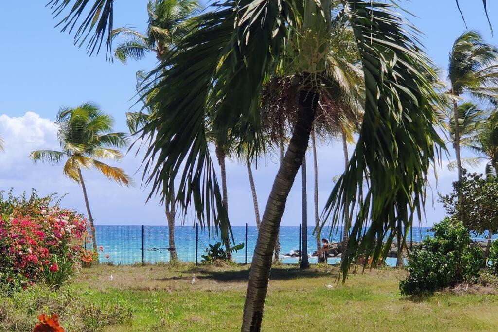 Parfum Des Iles - Vue Mer, Plage A 30M Et Piscine En Option Le Gosier  Esterno foto