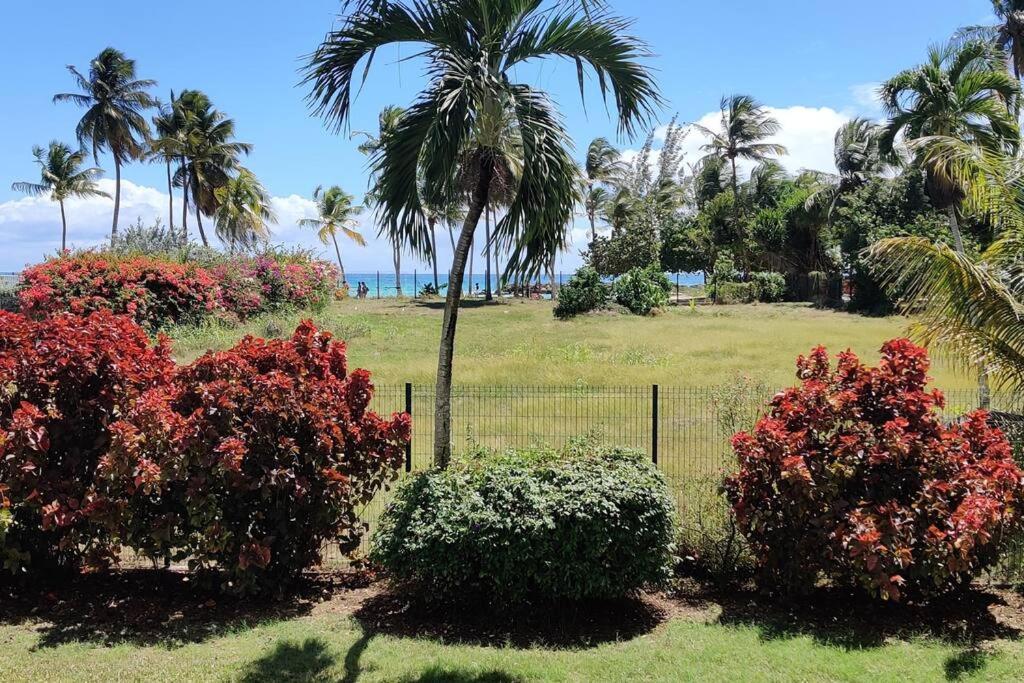 Parfum Des Iles - Vue Mer, Plage A 30M Et Piscine En Option Le Gosier  Esterno foto
