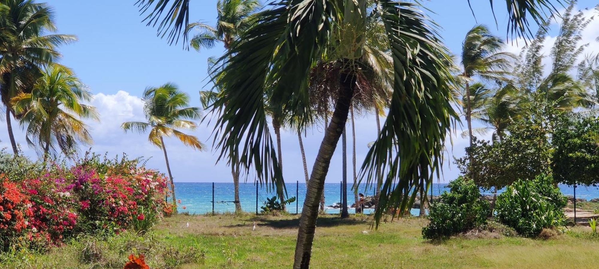 Parfum Des Iles - Vue Mer, Plage A 30M Et Piscine En Option Le Gosier  Esterno foto