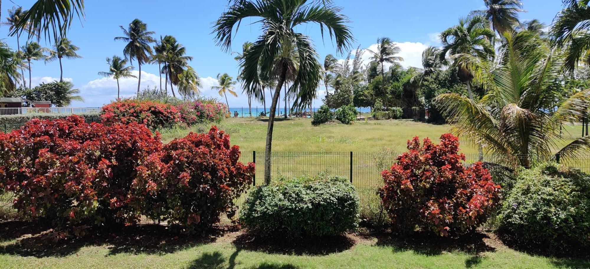 Parfum Des Iles - Vue Mer, Plage A 30M Et Piscine En Option Le Gosier  Esterno foto